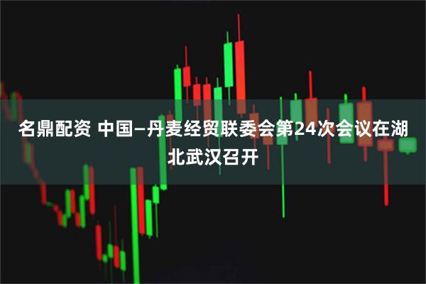 名鼎配资 中国—丹麦经贸联委会第24次会议在湖北武汉召开