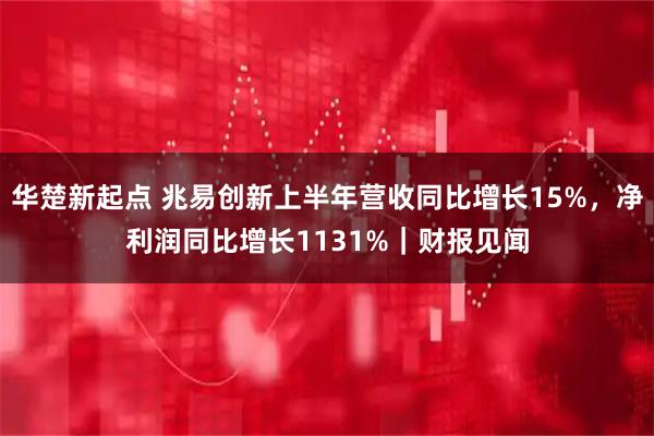 华楚新起点 兆易创新上半年营收同比增长15%，净利润同比增长1131%｜财报见闻