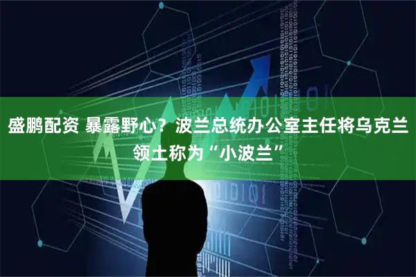 盛鹏配资 暴露野心？波兰总统办公室主任将乌克兰领土称为“小波兰”