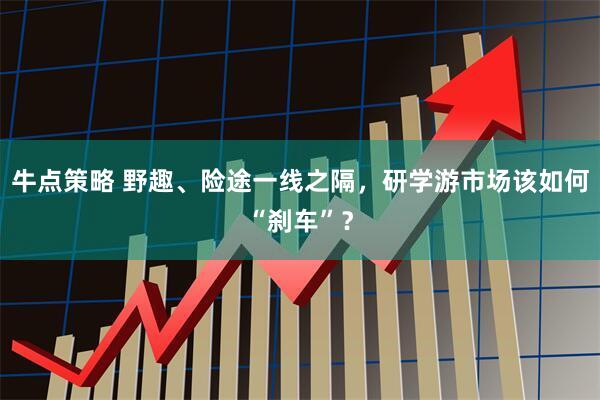 牛点策略 野趣、险途一线之隔，研学游市场该如何“刹车”？