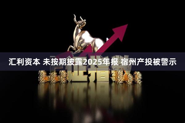 汇利资本 未按期披露2025年报 宿州产投被警示